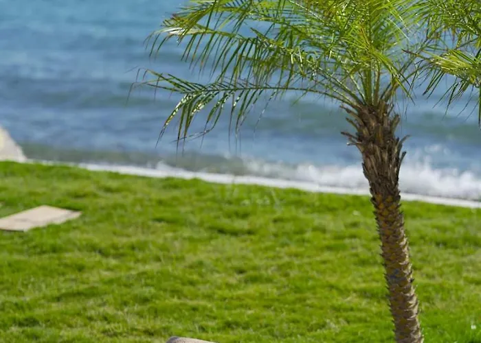 Glenn & Ξενοδοχείο Ayvacik (Canakkale)